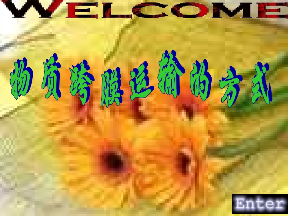人教版必修1第4章第3节+物质跨膜运输的方式（共47张PPT）_第1页