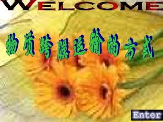 人教版必修1第4章第3节+物质跨膜运输的方式（共47张PPT）