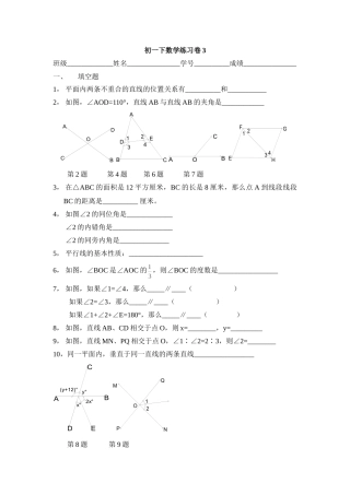 初一下数学练习卷3