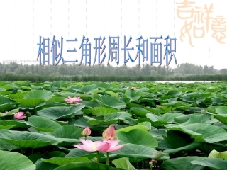 相似三角形周长和面积