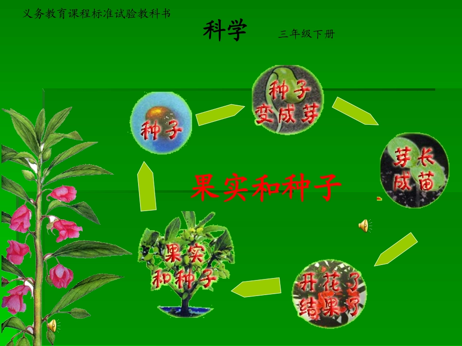 科学三年级下册演示文稿_第1页