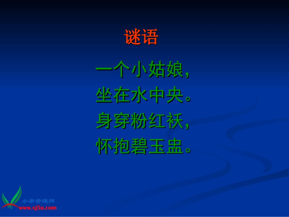 《荷花》PPT课件(苏教版三年级语文下册课件)_第2页