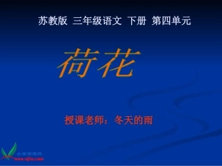 《荷花》PPT课件(苏教版三年级语文下册课件)