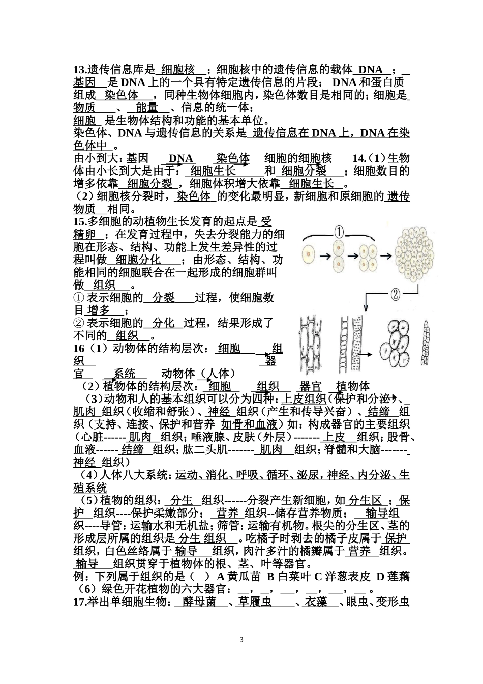 有答案_七年级生物上册期末填空题复习_第3页
