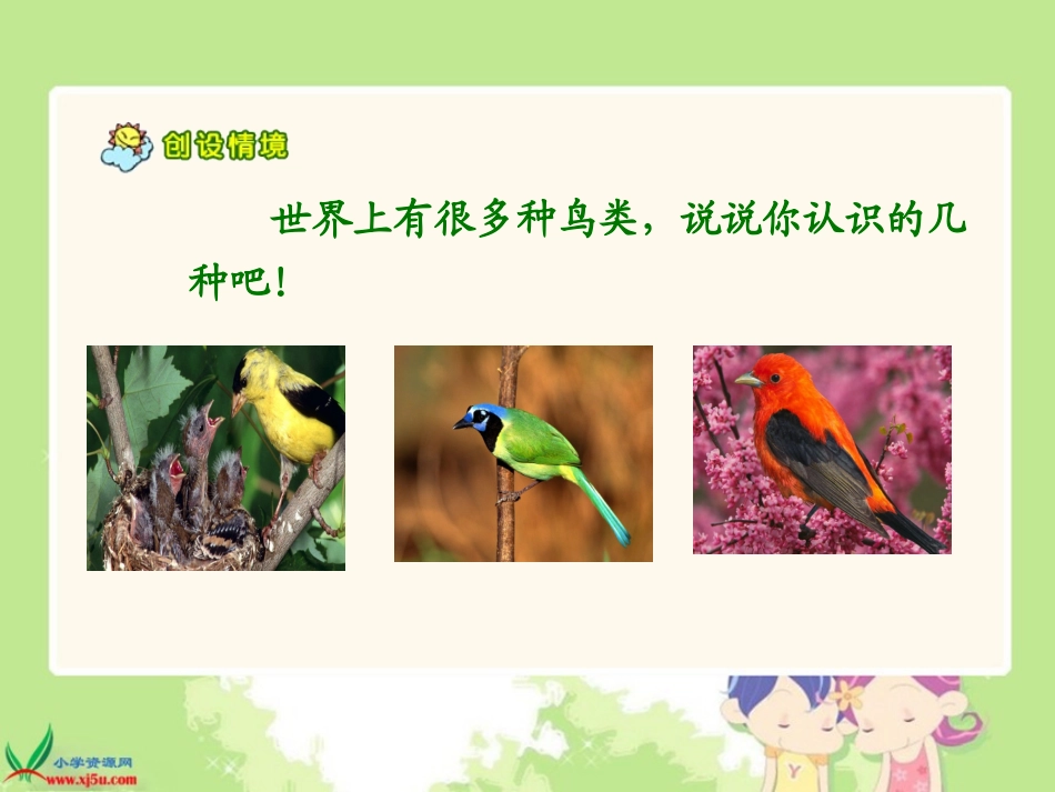 《翠鸟》PPT_第2页