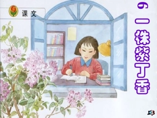 窗前，一株紫丁香