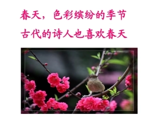 《古诗两首》春晓