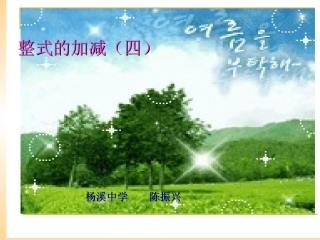 整式的加减（四）czx