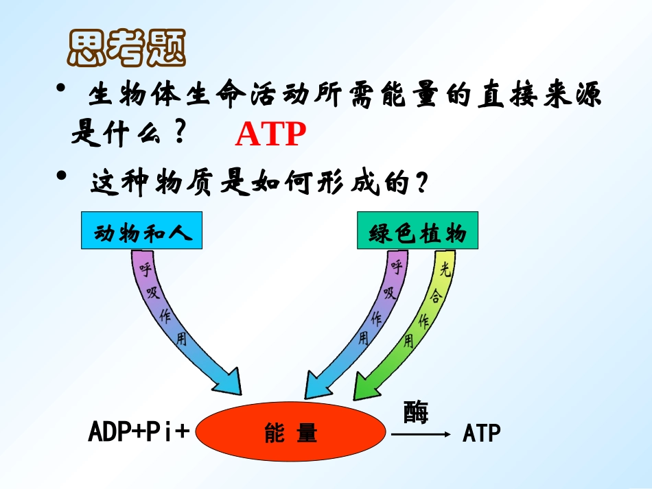 人教版必修1第5章第3节ATP的主要来源——细胞呼吸（共41张PPT）_第2页