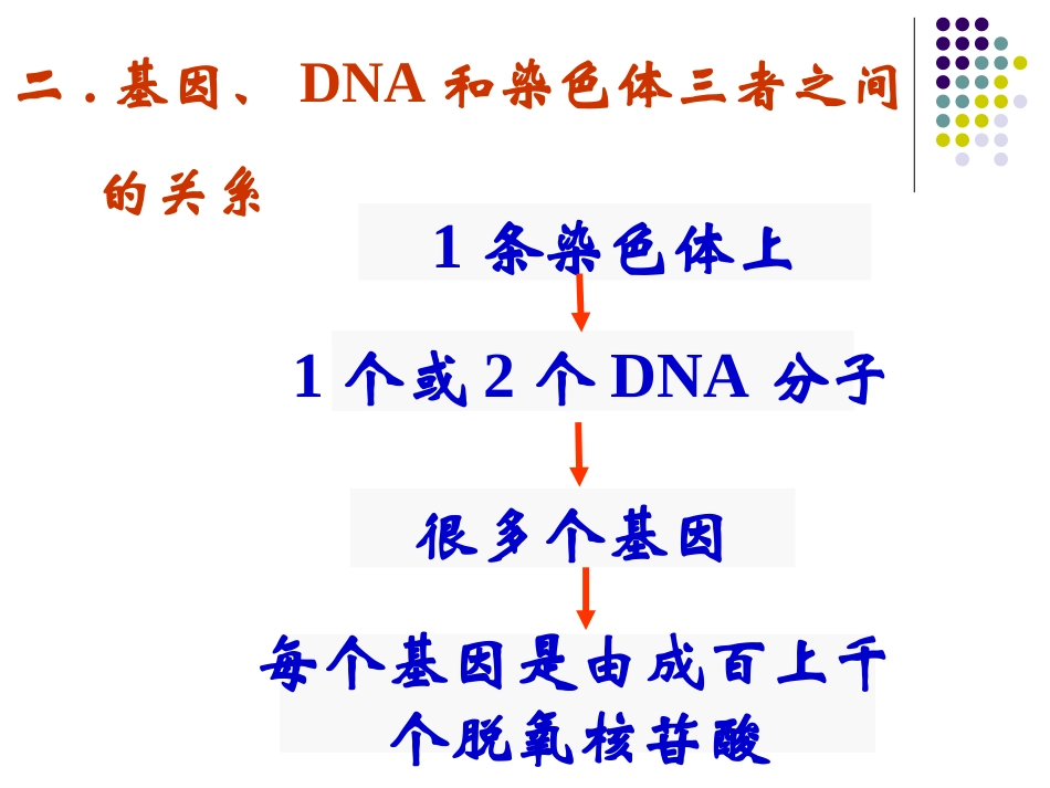 【生物】41基因指导蛋白质的合成课件2（人教版必修2）_第3页