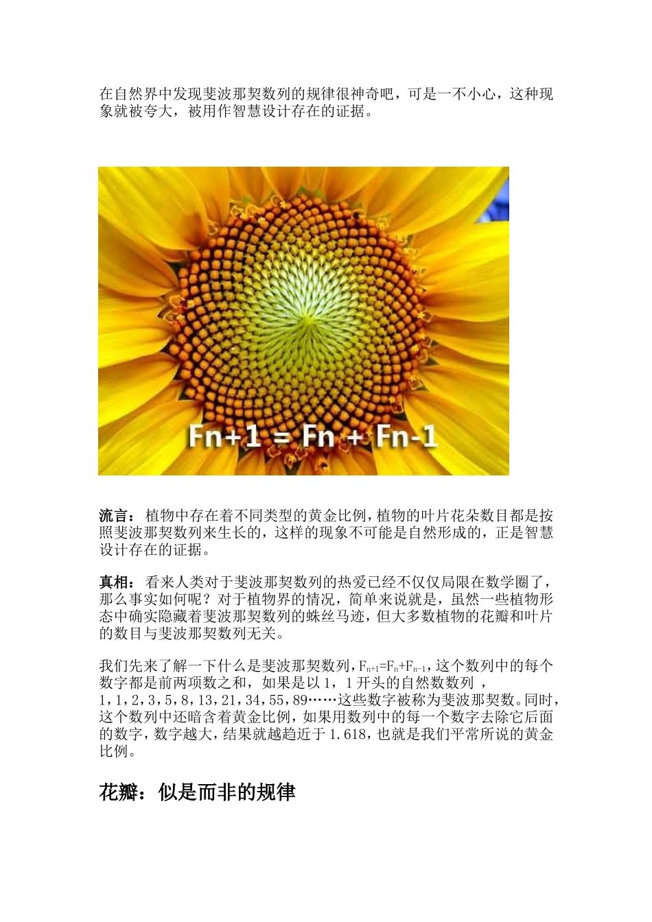 植物中隐藏着的神秘数字_第1页