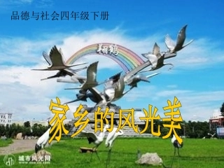 家乡的风光美