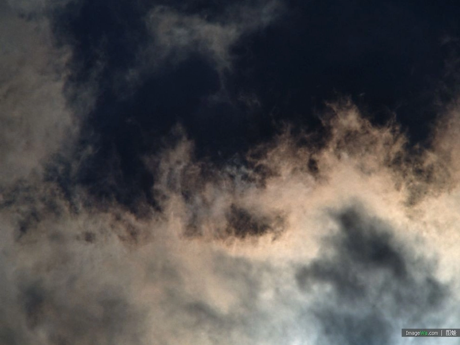 三年级语文下册《语文园地二》习作_第3页