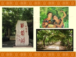 张骞通西域课件