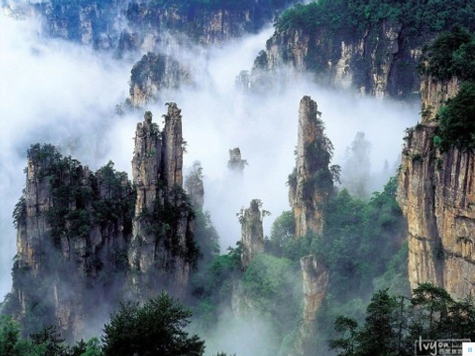 索溪峪的野课件_第1页