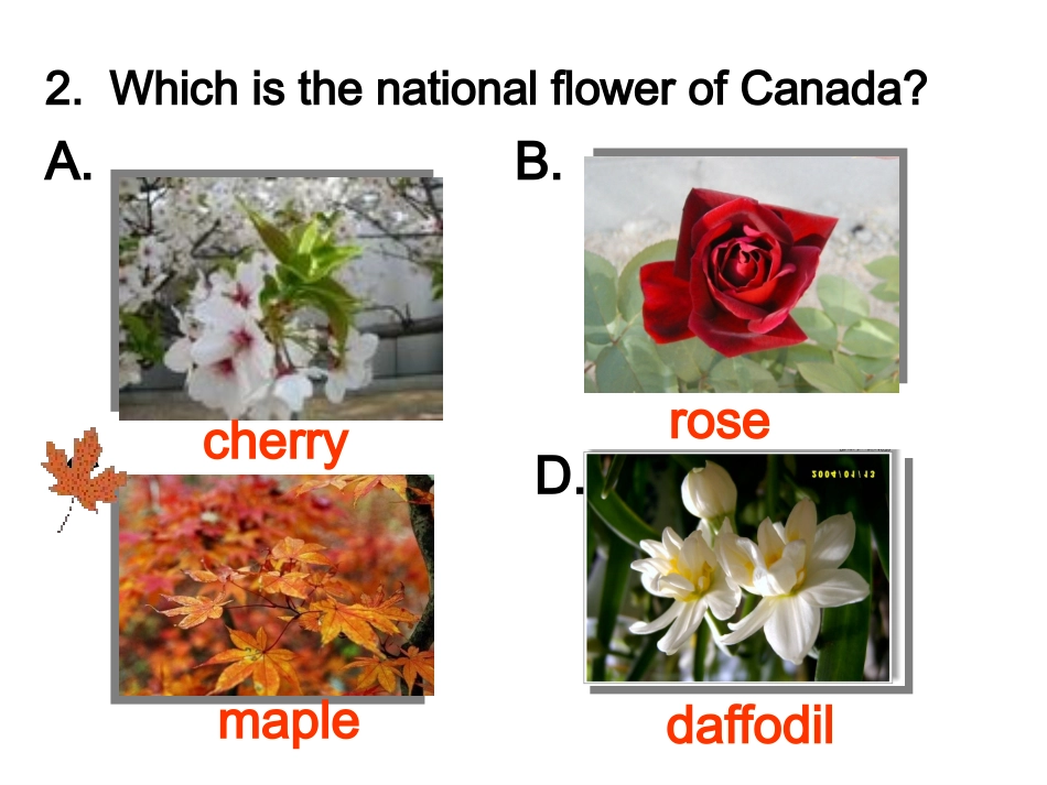英语：必修3_Unit5_Canada-“The_True_North”-Reading课件1(新人教版)_2_第3页