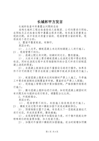 长城杯甲方发言稿