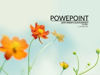 清新花草（模板）