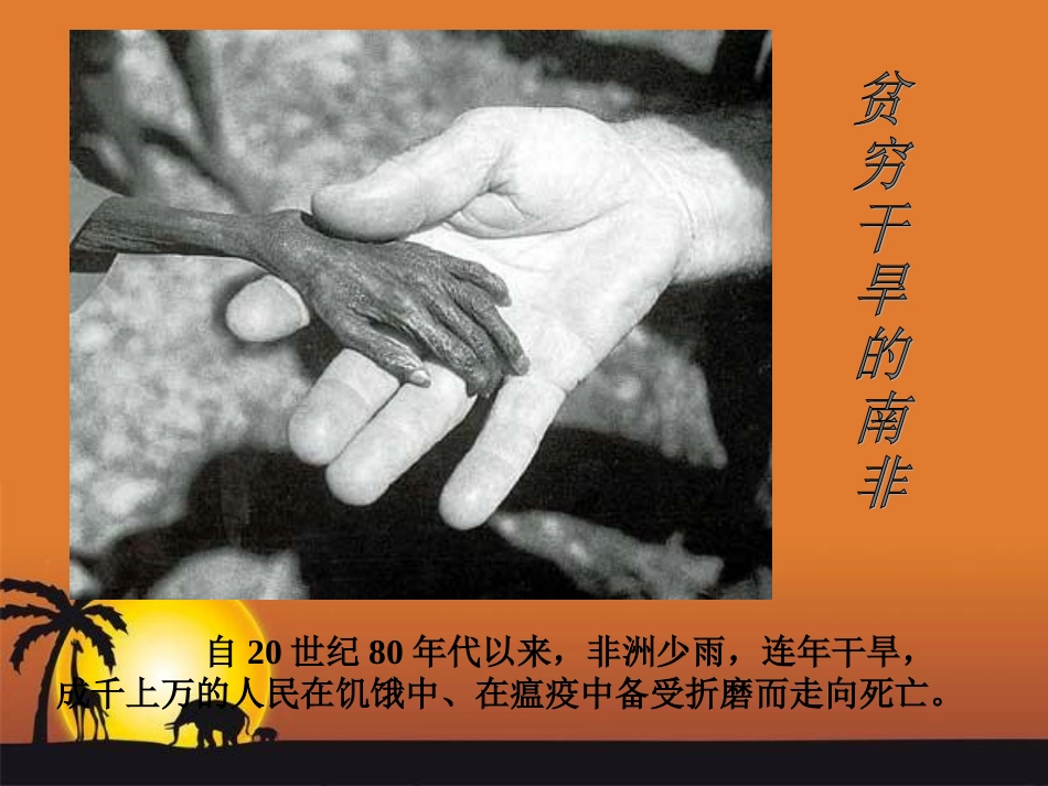 阳光皮肤课件1[1]_第3页