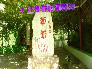 吐鲁番的葡萄沟