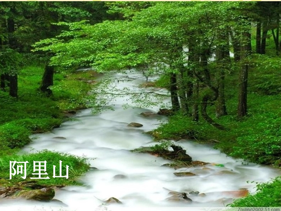 五年级上册语文《难忘的一课》_第3页