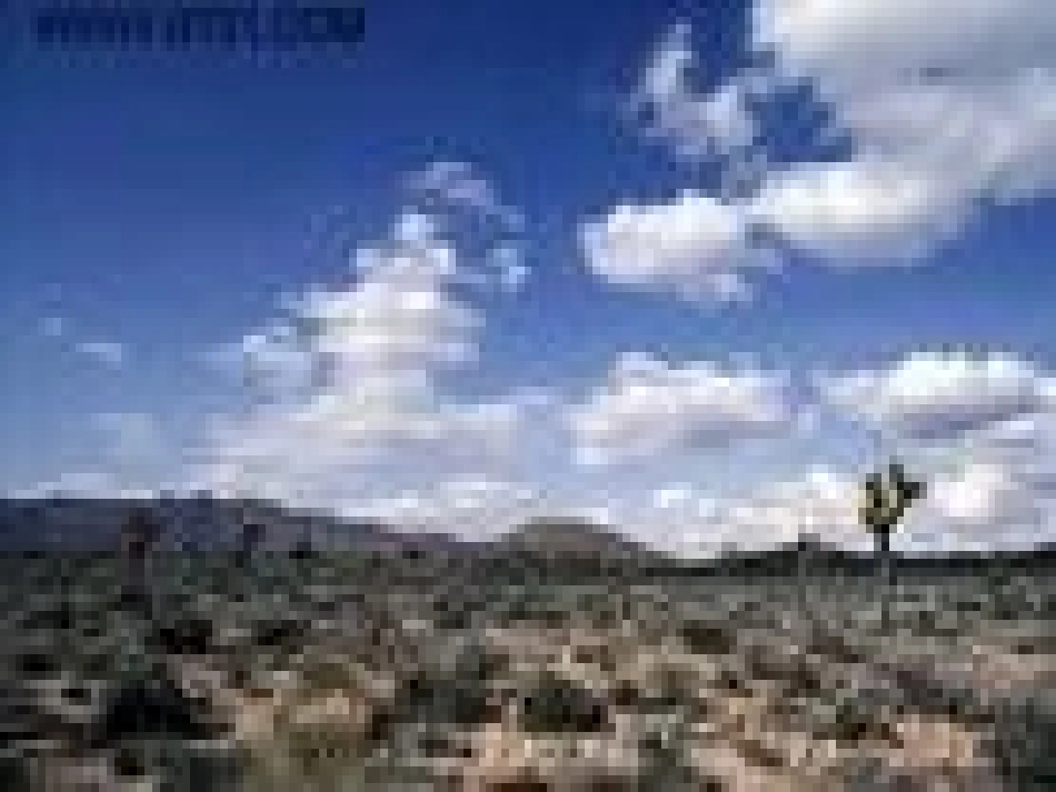 《青山不老》课件_第3页