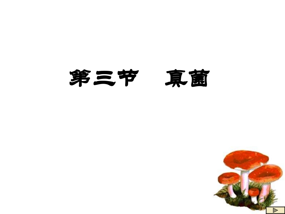初中二年级生物上册第五单元第四章细菌和真菌第三节真菌第一课时课件_第2页