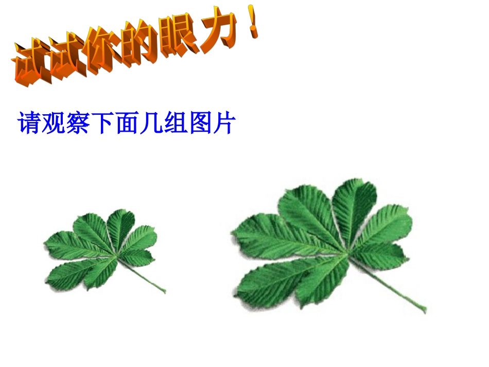 271图形的相似_第2页