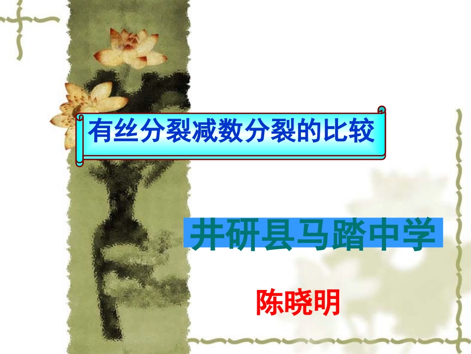 高考生物专题复习课件：细胞分裂_第2页