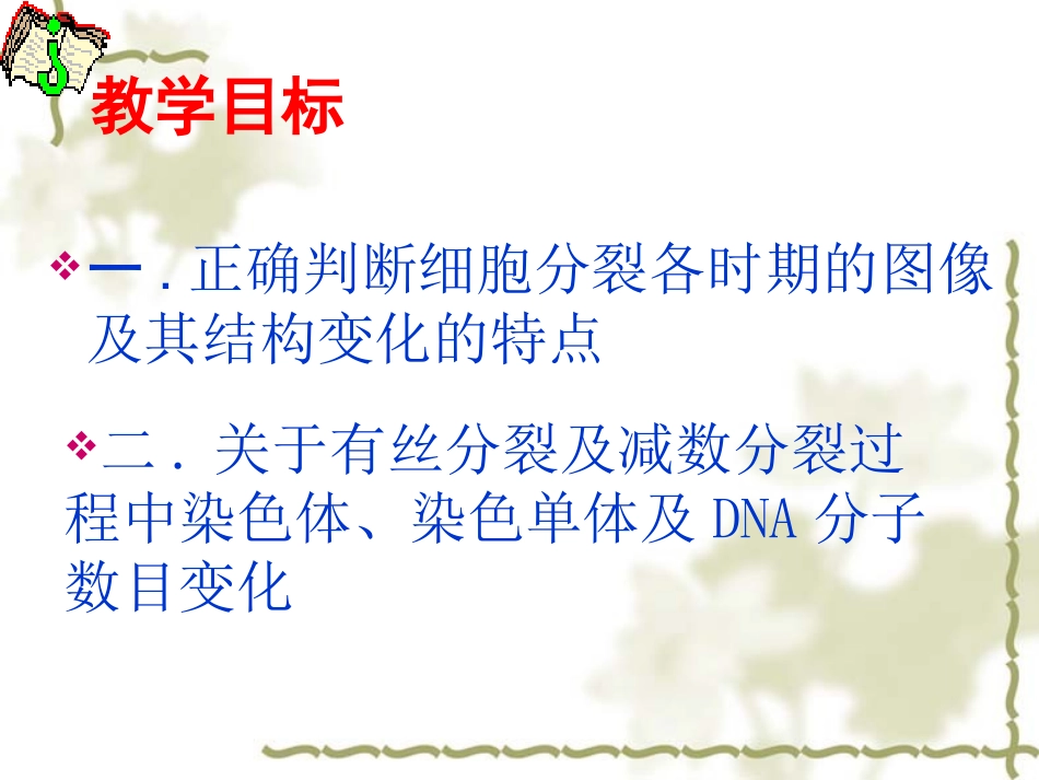 高考生物专题复习课件：细胞分裂_第3页