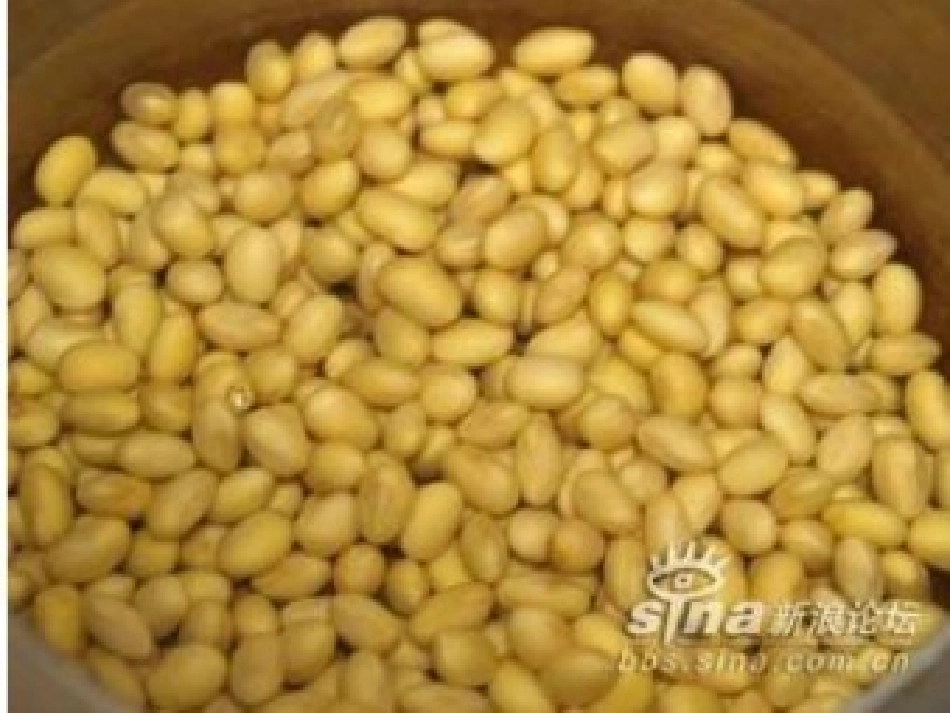 学前班科学活动《做豆腐》课件_第1页
