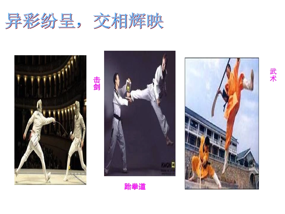 《世界文化的多样性》课件_第3页