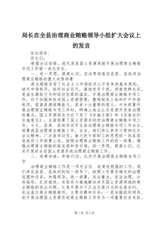 局长在全县治理商业贿赂领导小组扩大会议上的发言稿