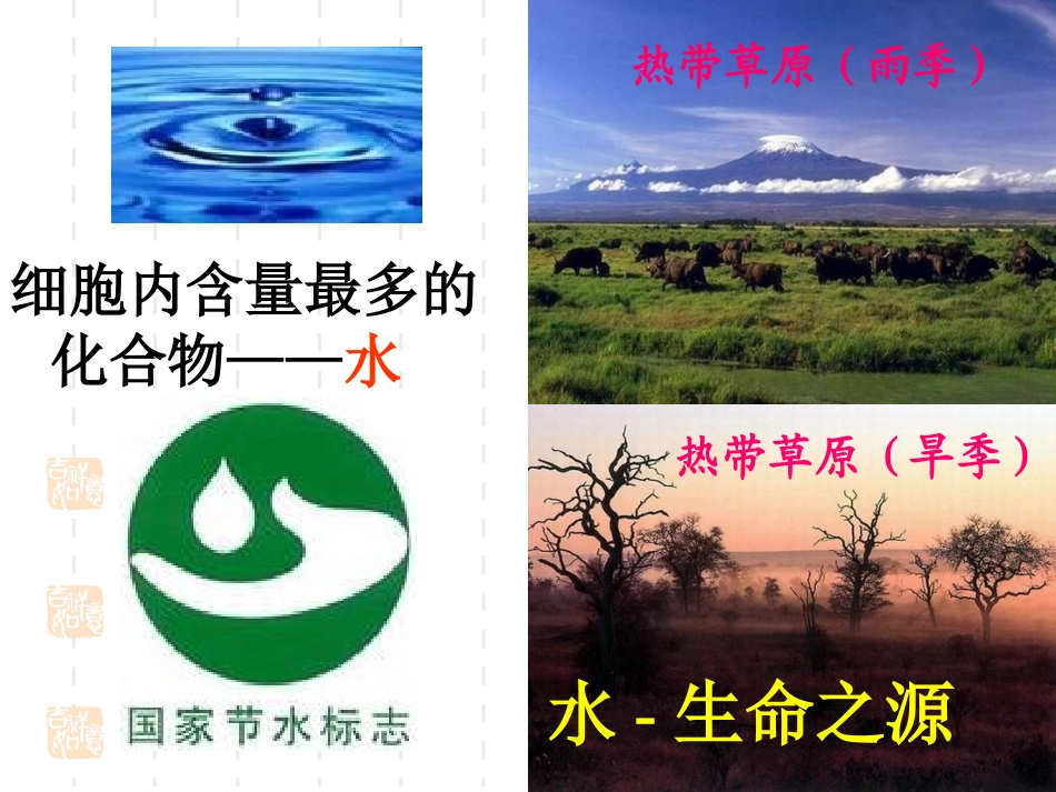 【生物】25细胞中的无机物课件1（人教版必修1）_第3页