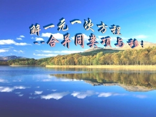 解一元一次方程4