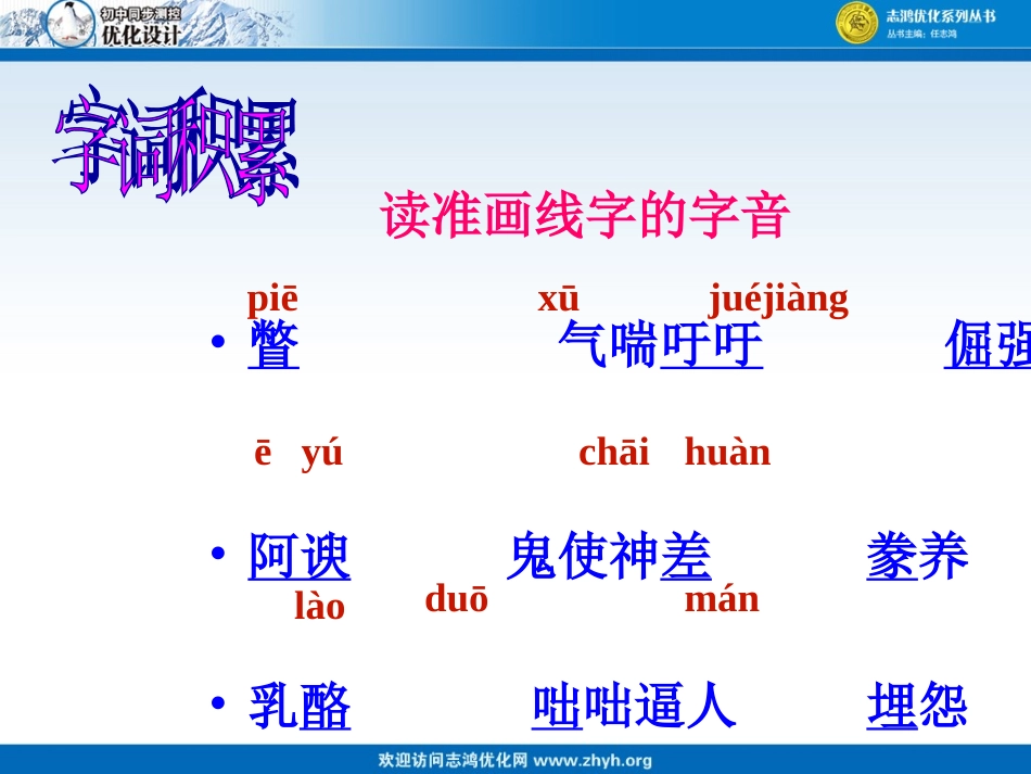 山米与白鹤课件_第3页