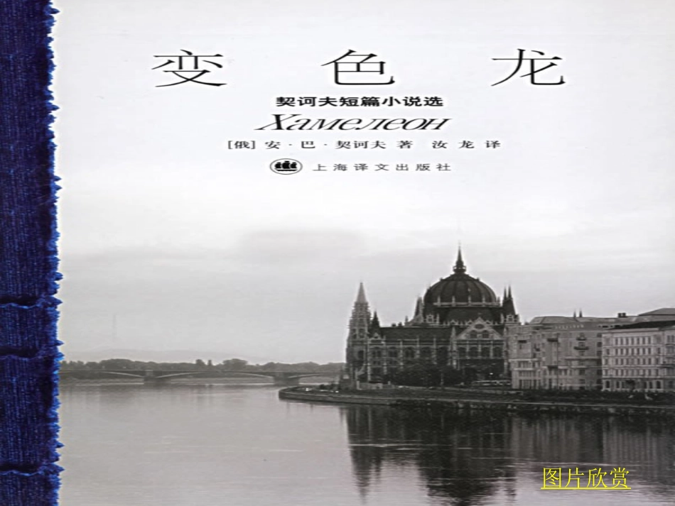 《变色龙》1_第1页