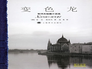 《变色龙》1