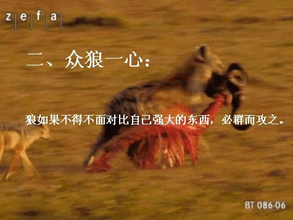 狼的处世经 (2)_第3页