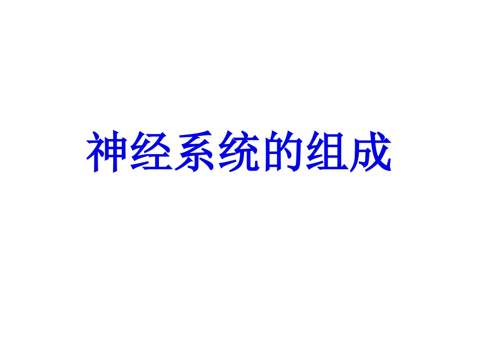 62神经系统的组成_第1页