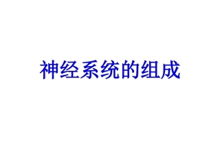 62神经系统的组成