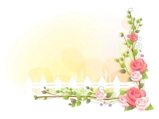 花边模板 (2)