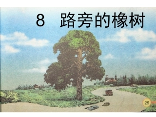 路旁的橡树成品