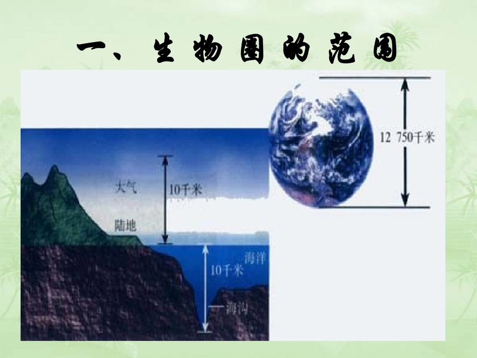 《生物圈是最大的生态系统》课件_第3页