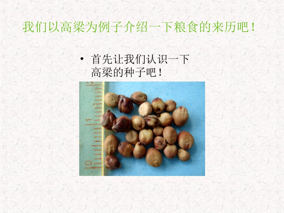 粮食从哪里来李娜_第2页