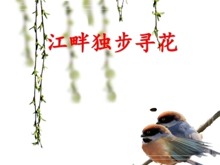 江畔独步寻花课件