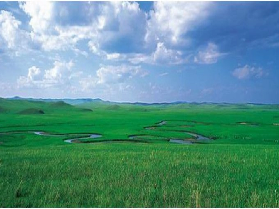 （北师大版）四年级语文课件草原_第1页