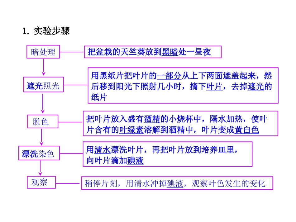 2013年秋_七年级生物上册第三单元第四章_绿色植物是生物圈中有机物的制造者_第3页