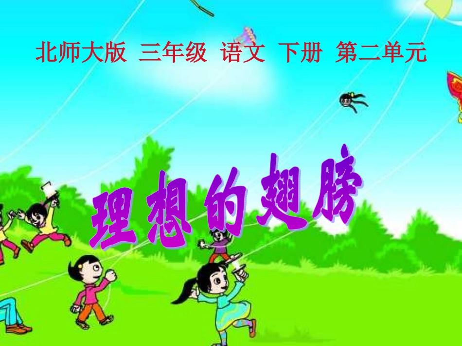 理想的翅膀课件1_第1页