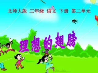理想的翅膀课件1